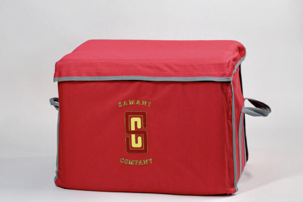 Red Bag with Gray Trim
